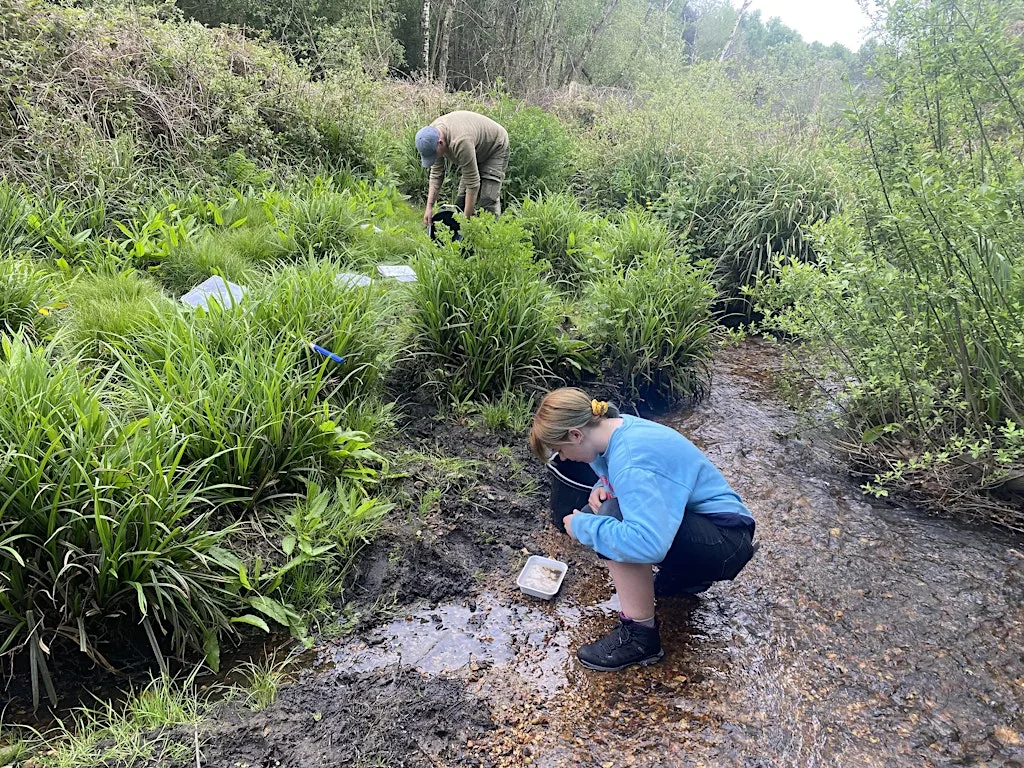 Green Skills: Riverfly Monitoring at Mayford Road