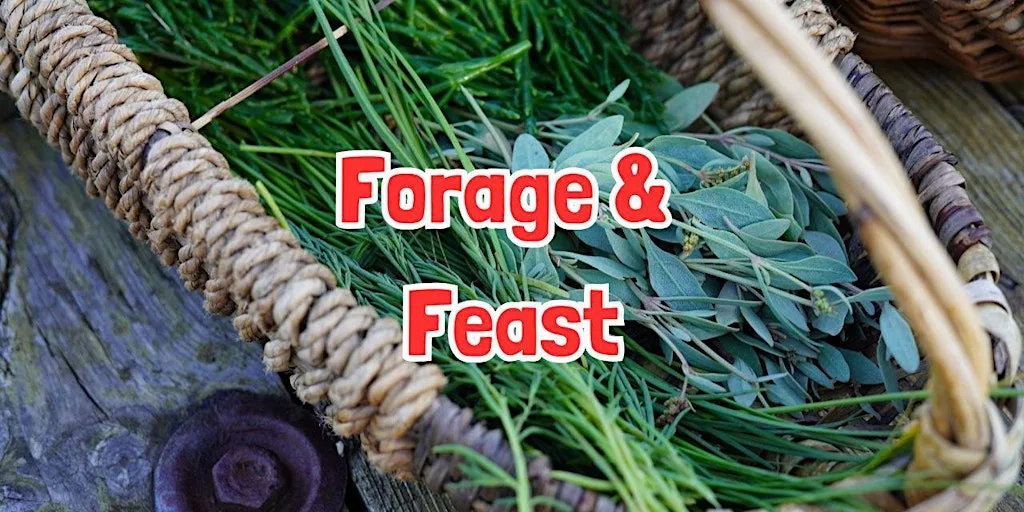 FORAGE & FEAST in Bransford (Worcestershire)