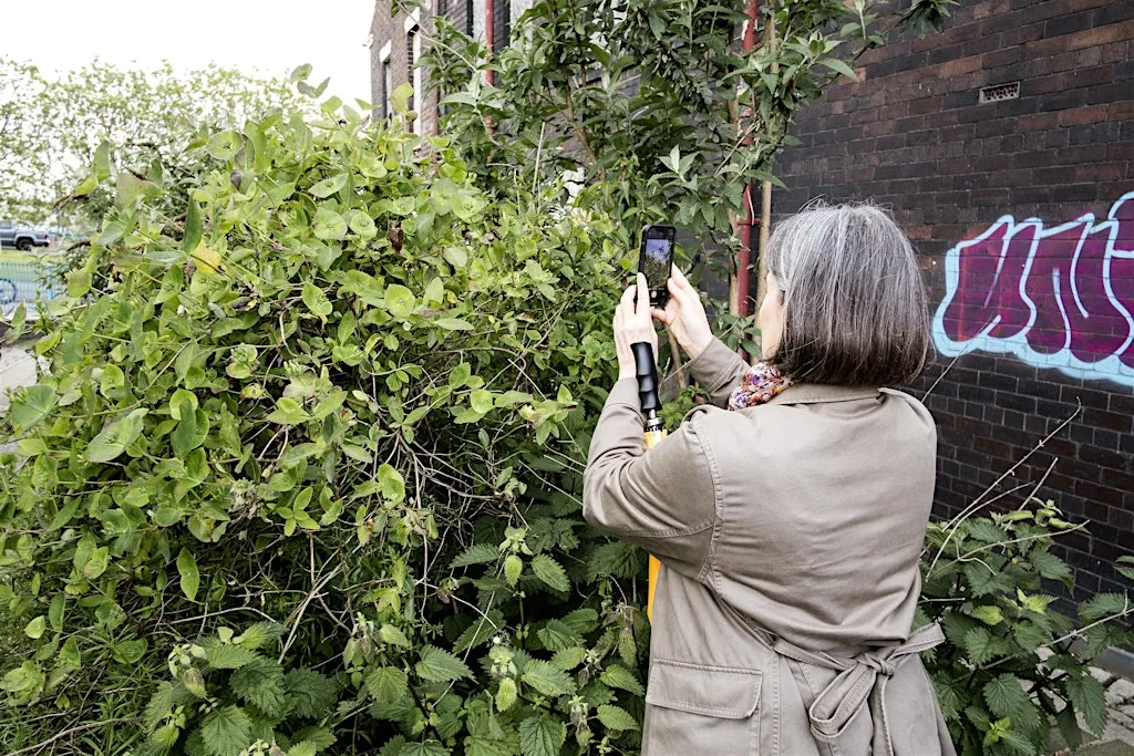 Guided Photo Walk with Wild Edge Arts (Formerly Urban Wilderness CIC) at Fenton Town Hall