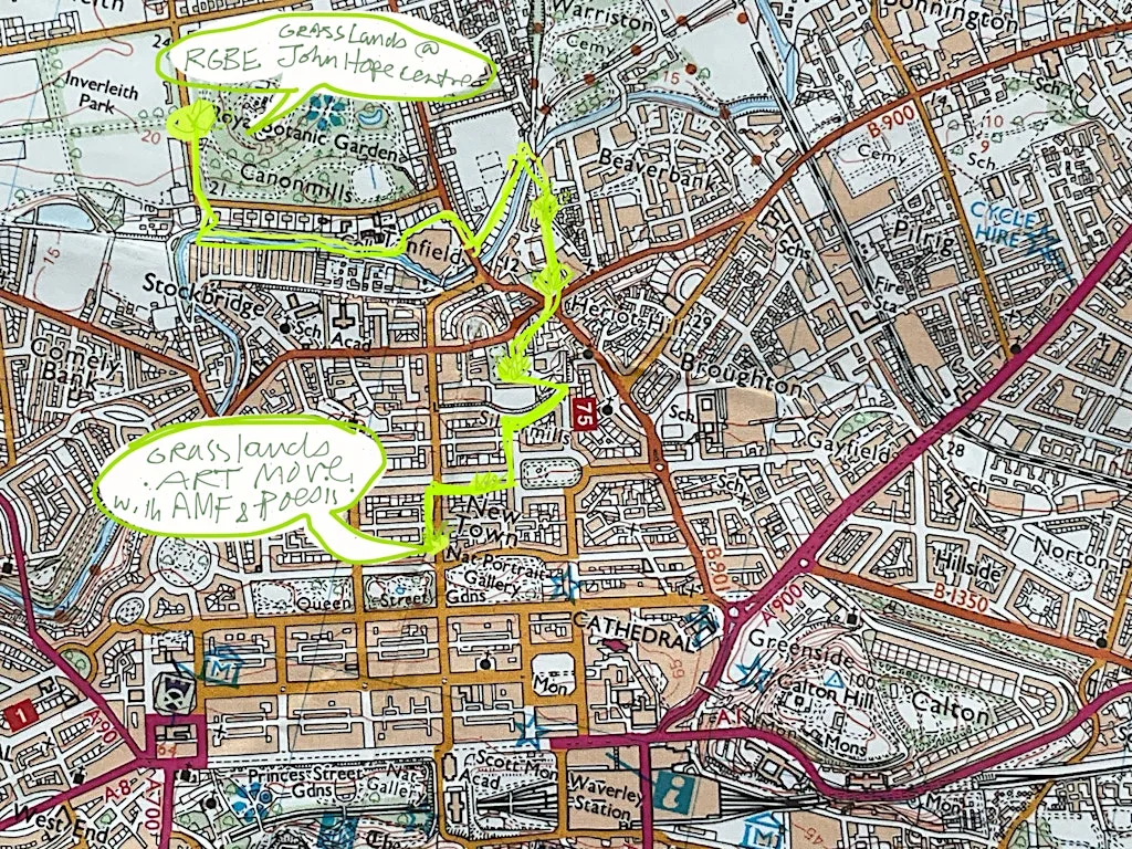 ArtMovesFife ( invited guests Poiesis) present The Urban Grasslands at The Scottish Gallery