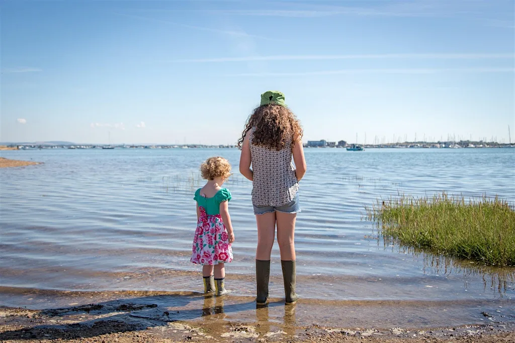 Portsmouth & Southsea Wildlife Watch - Wonderful beach creatures