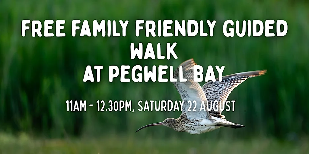 1 1/2 hour Free Family Friendly Guided Walk at Pegwell Bay NNR at Pegwell Bay Country Park