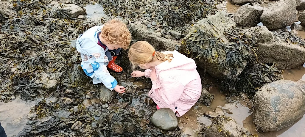 Rockpool Ramble at Half Moon Bay at Half Moon Bay