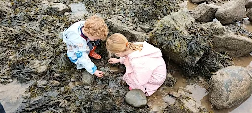 Rockpool Ramble at Half Moon Bay at Half Moon Bay