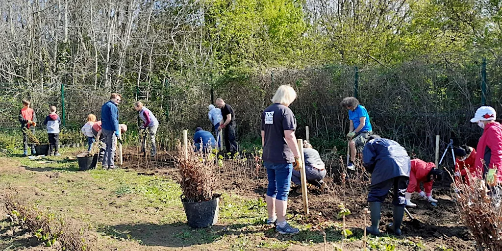 Forest Farm Tree Nursery Volunteering at Forest Farm Country Park