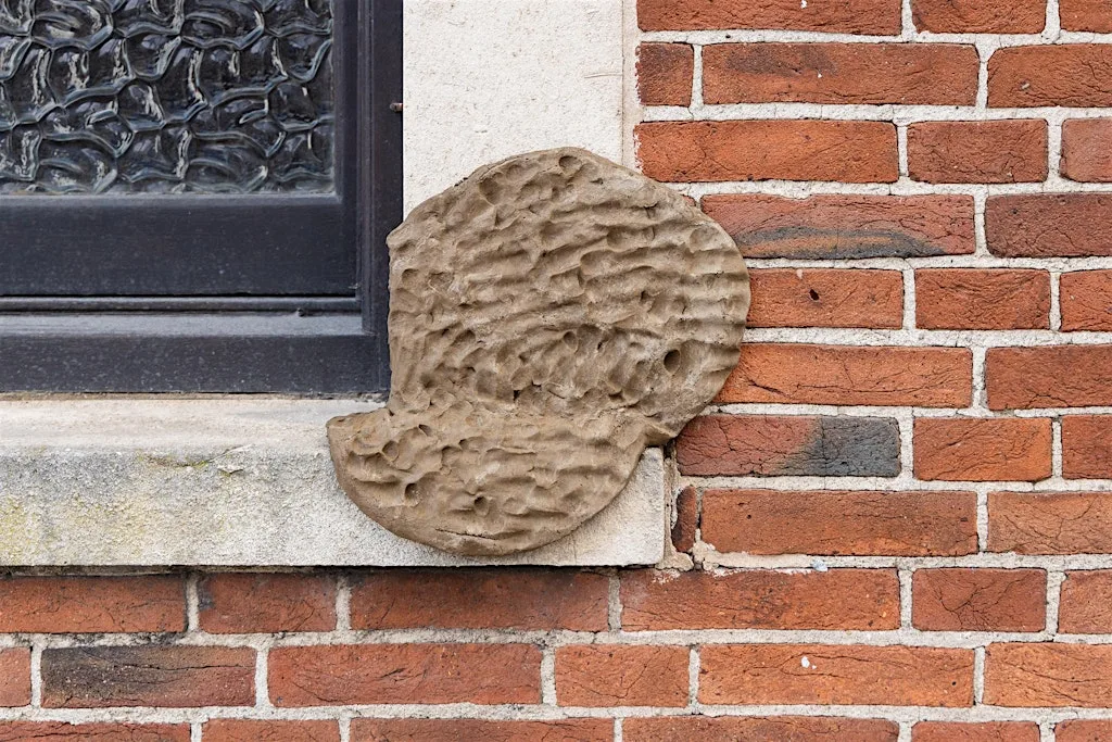 On Lost Ground: Workshop with James Thompson at GLOAM at GLOAM Gallery