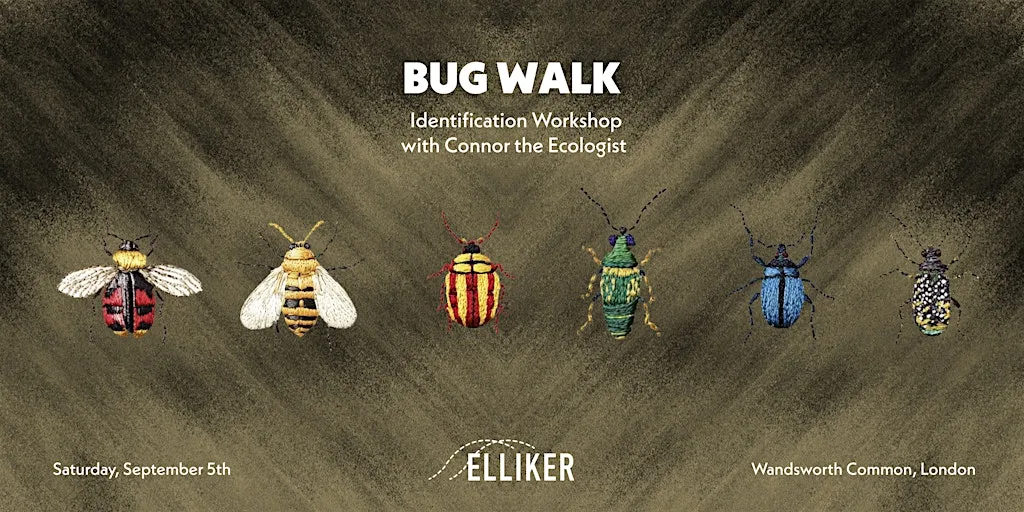 Bug Walk - Identification Workshop with Connor the Ecologist & ELLIKER at Wandsworth Common Station (Ticket Office, Park Side)
