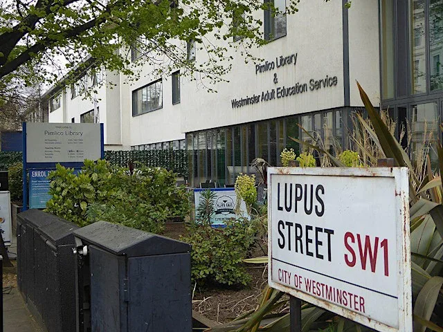 Pimlico Library book group