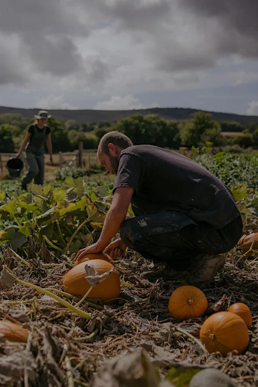 Autumn Equinox at My Little Farm