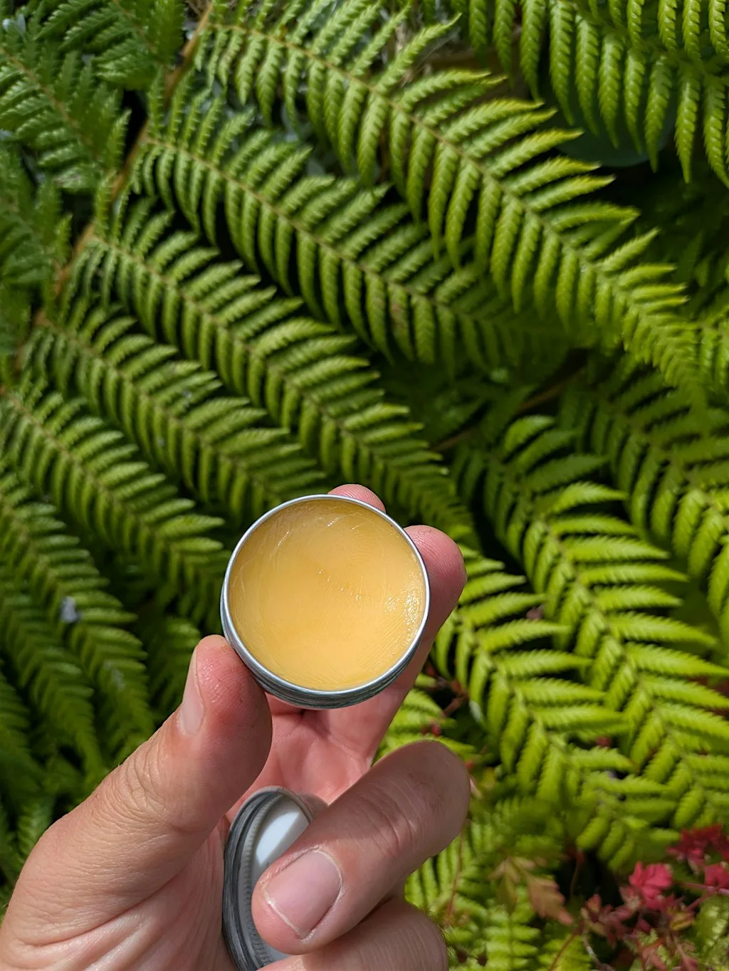Calendula healing balm workshop