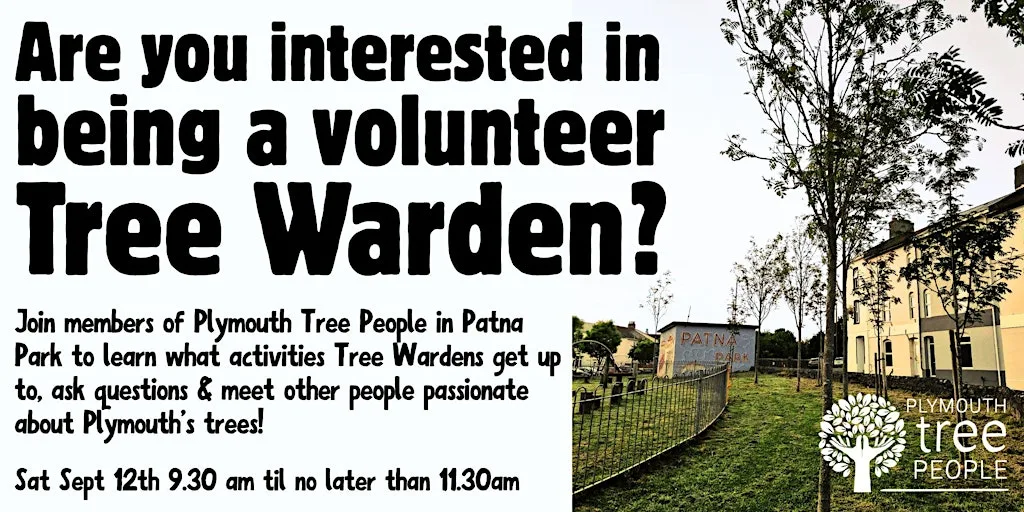 Volunteer Tree Warden Taster Session at Patna Park