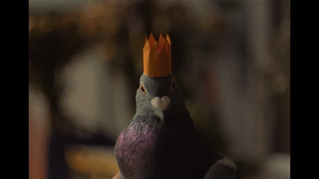 Let's Talk About Loss | EVERYMAN Bristol : Short Film for Grievers