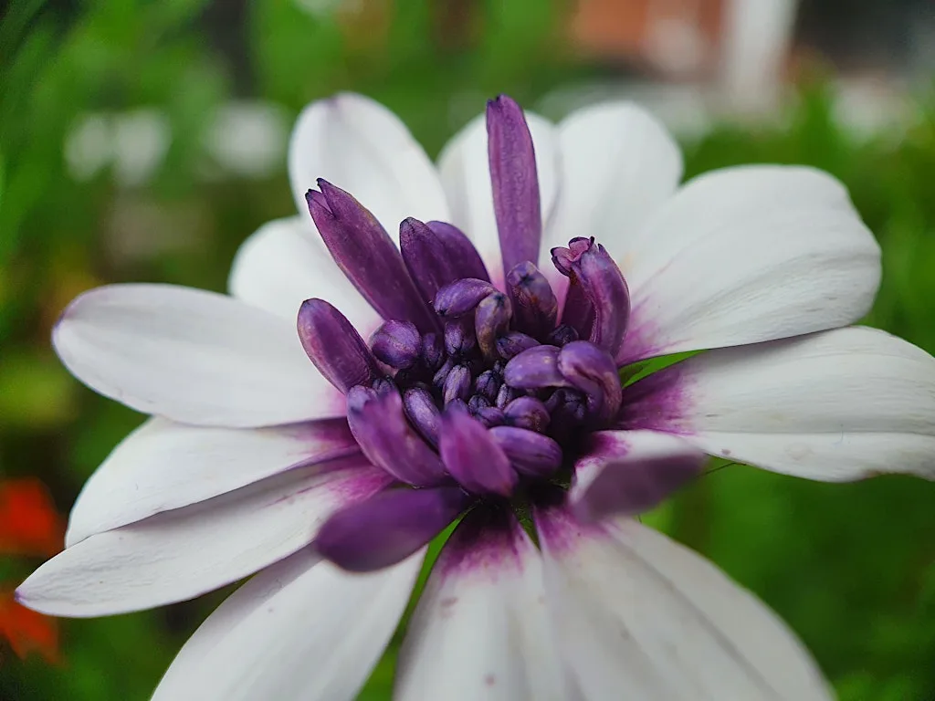 Film Photography Meet-up @Birmingham Botanical Gardens