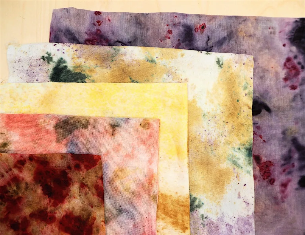 Introduction to Natural Dyeing with Cathy Van Hear at Phoenix Art Space