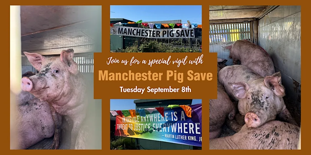 Manchester Pig Save Vigil