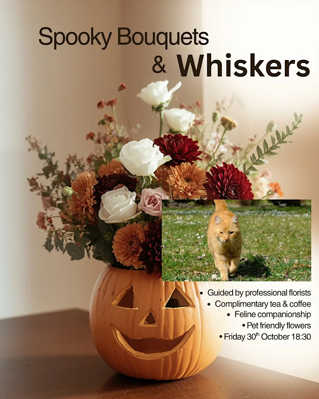 Spooky Bouquets & Whiskers at Purrfect Space