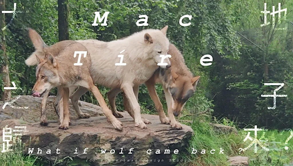 Full day Mindfulness Retreat for Wolves Conservation at 2 Carnlough Rd Cabra West, Hamilton Gardens , Dublin 7, D07 K2T4