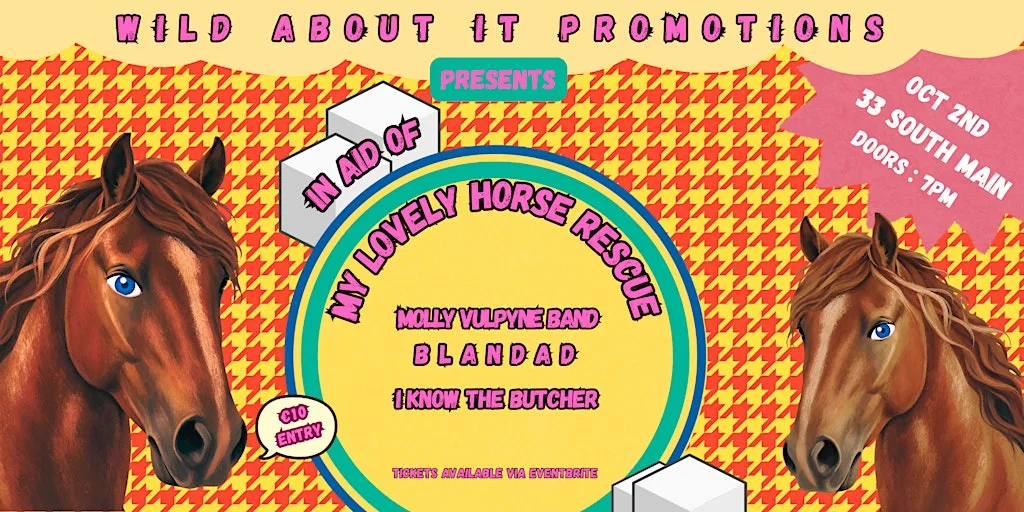 Molly Vulpyne Band, Blandad & I Know The Butcher LIVE in Naas at 33 South Main
