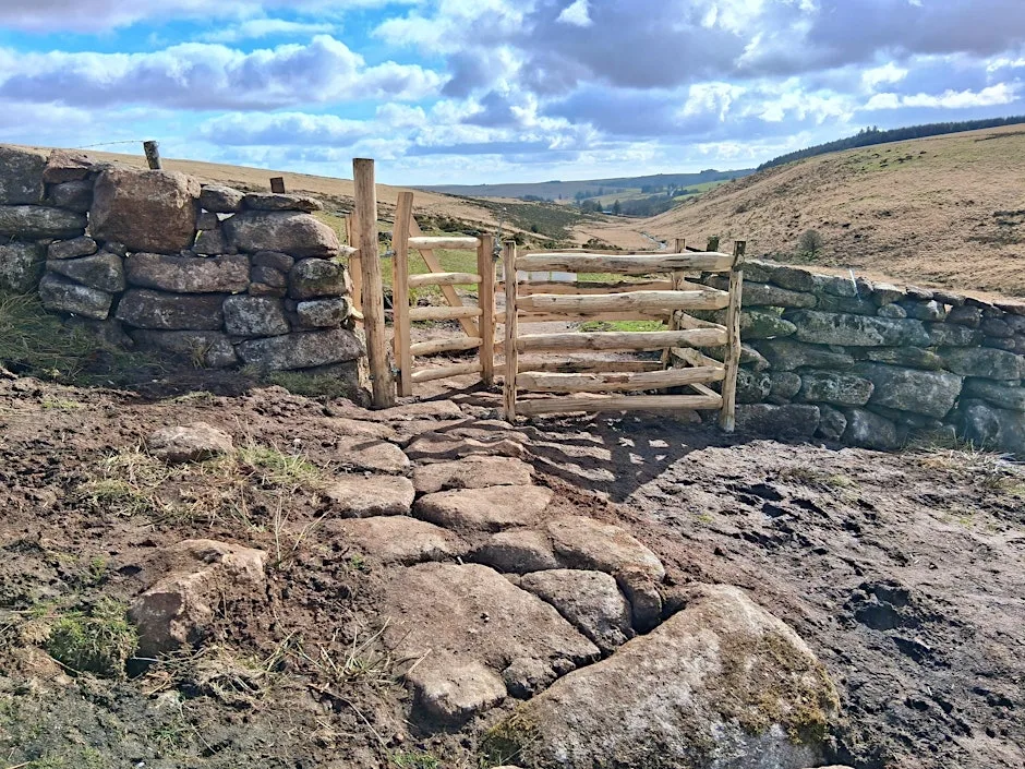 Brimpts Farm and Wistman's Wood, Dartmoor at Brimpts Farm
