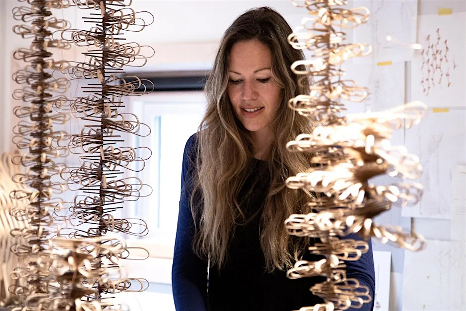 Event: Seeds in Flight - 3D Paper-Making Workshop with Naomi Mcintosh at Drum Castle - Garden & Estate