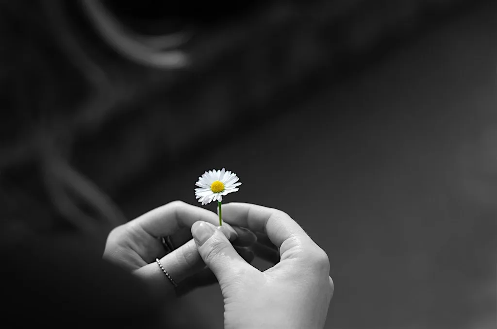 Loving Kindness Meditation (Metta) led by Julian Briggs