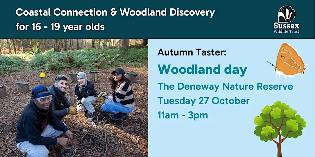 Woodland Day: Autumn Taster for 16 - 19 yr olds, The Deneway Nature Reserve at The Deneway Nature Reserve
