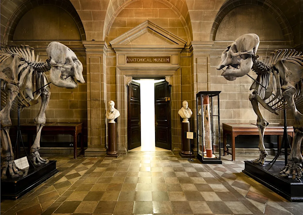 Anatomical Museum, Public Open Day, Saturday 19th September 2026 at The Anatomical Museum, The University of Edinburgh