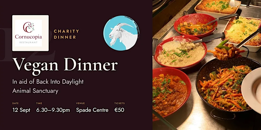 Vegan Dinner In Aid of Back Into Daylight - Sponsored By Cornucopia at SPADE Enterprise Centre