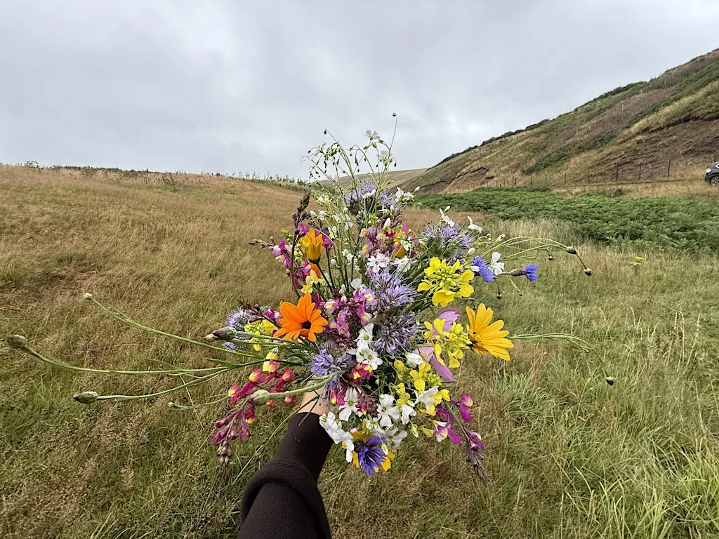 Wild Hill's Secret Flower Field: Pick Your Own Flowers at Wild Hill