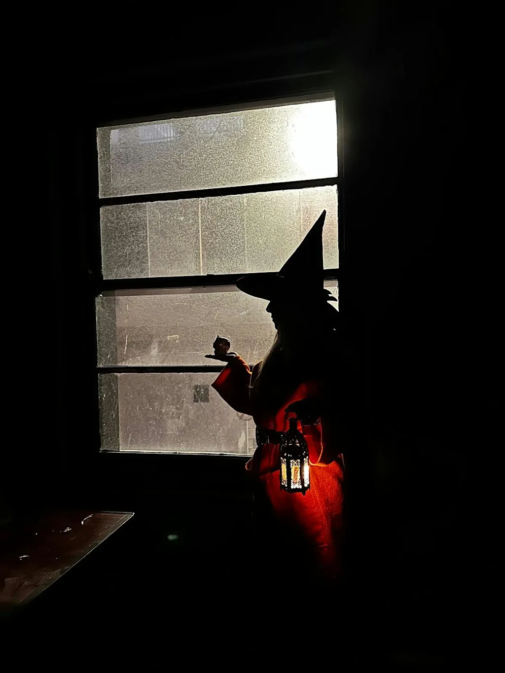 Tricks, Treats & Tales with Kilkenny Food Tours at Kilkenny Courthouse