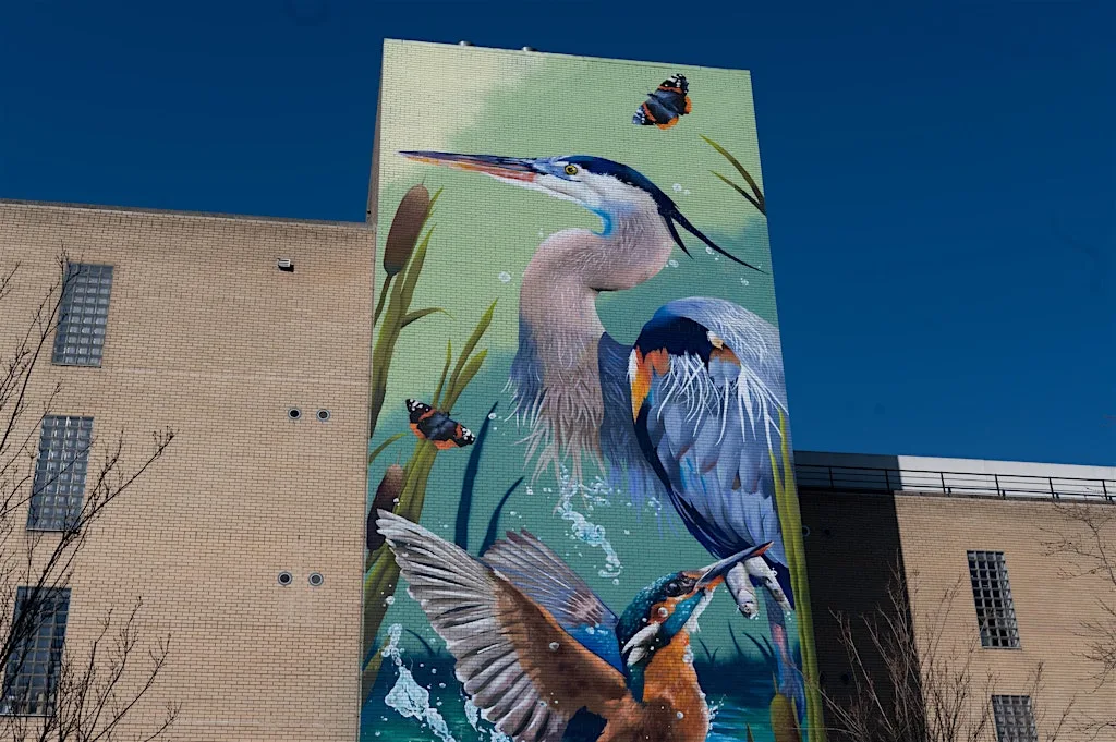 Sheffield Urban Art: Women-Only Photography Walk at Winter Garden