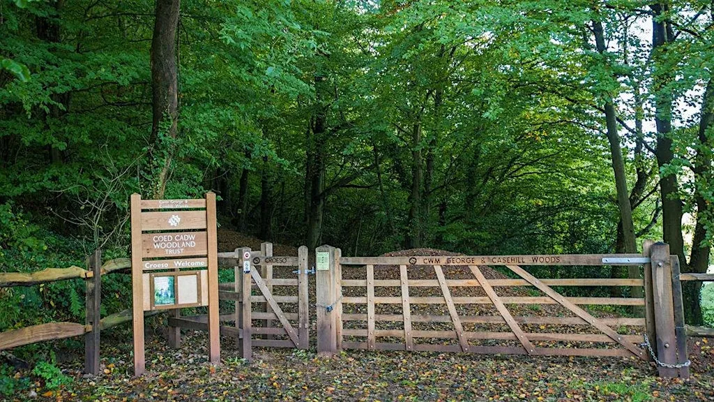 Immersive Sound Walk at Casehill Woods