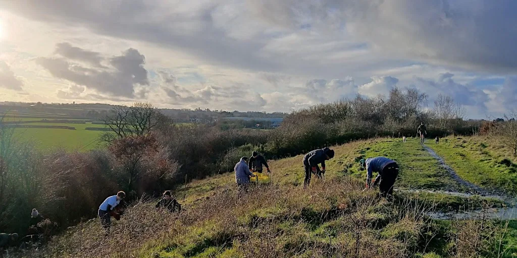 Grassland Restoration at Sea Stores Nature Reserve at Normandy Drive