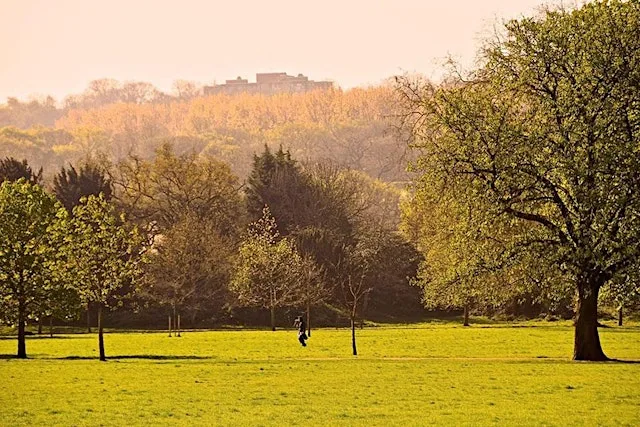 Black Girls Hike x London Wildlife Trust: Sydenham Hill to West Dulwich Stn at Car Park Sydenham Hill Station | APCOA