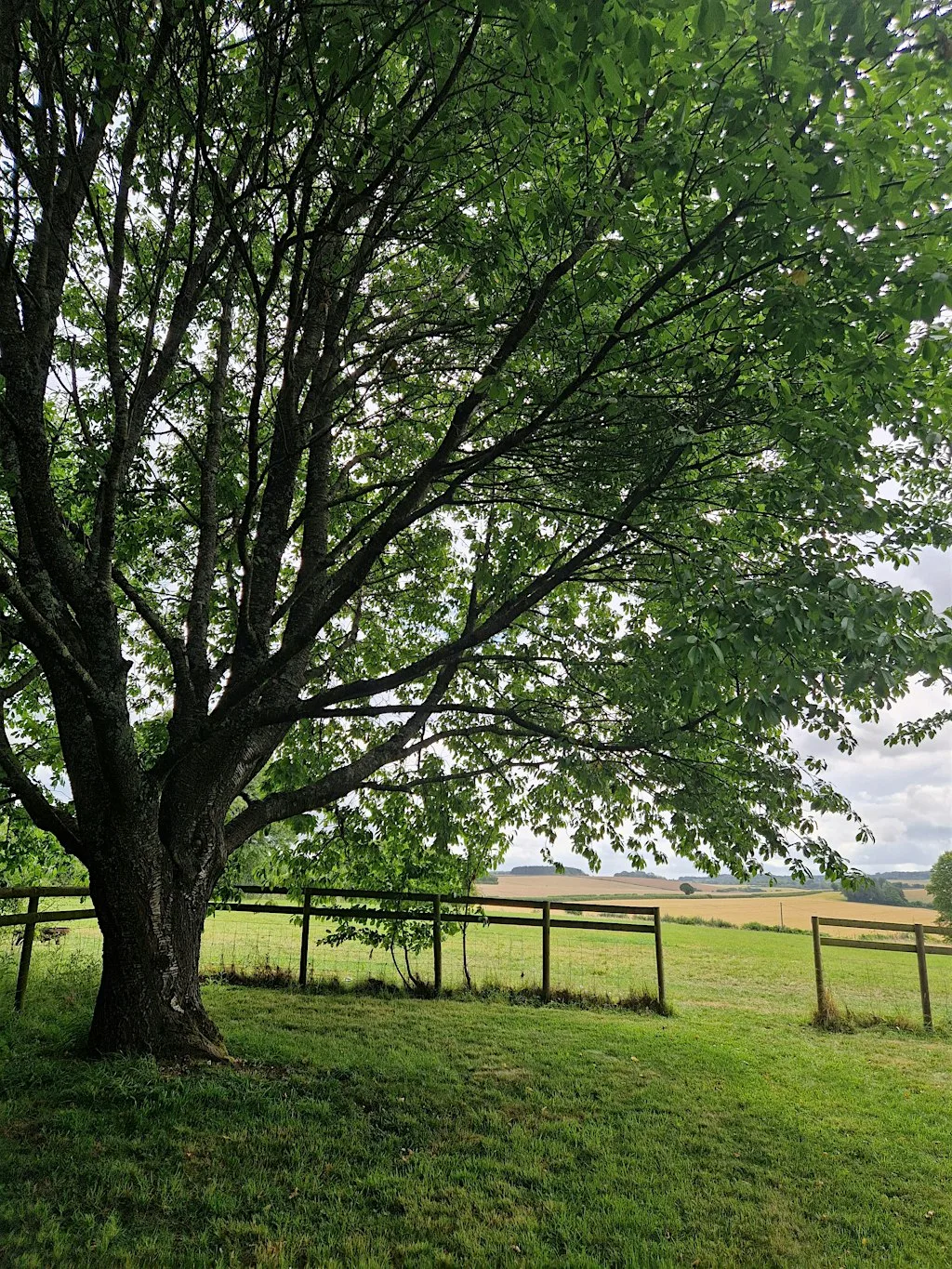 Escape to the Woods at Field with a View Winchester