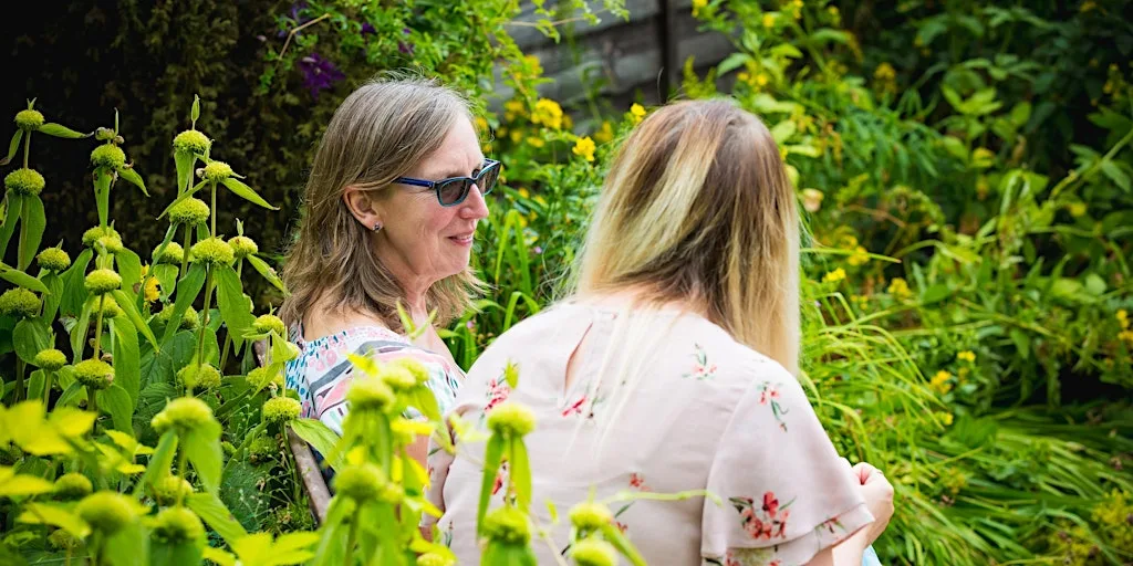 Silent Meditation Day Retreat at Sunnyside