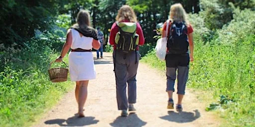 Wild Food in Summer at Corstorphine Hill Walled Garden