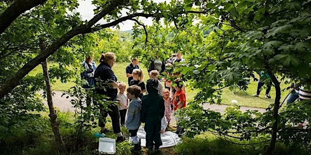 Family Workshops - River Wildlife