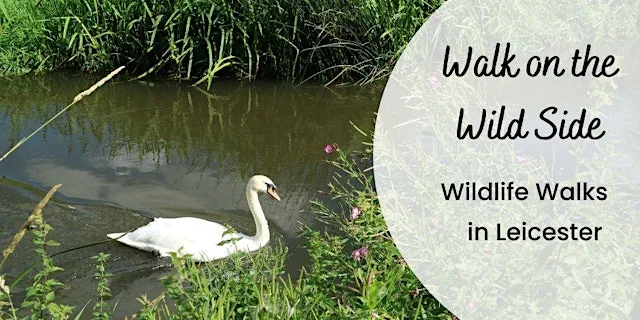 Wildlife Walk: A Walk on the Wild Side – Aylestone Meadows at Aylestone Meadows - Evesham Road entrance