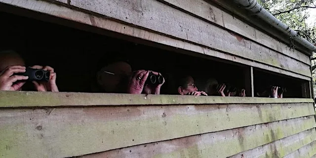 Birdwatching – Understanding Autumn Birds with Nature Stuff (Wednesdays) at Tegg's Nose Country Park