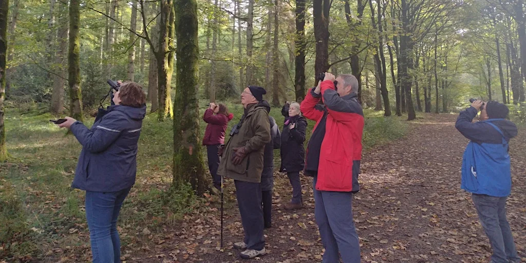 Birdwatching – Understanding More About Autumn Birds  (Tuesdays) at Tegg's Nose Country Park