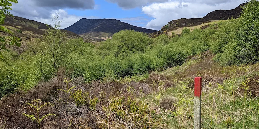 'Heart of Scotland Forest Partnership' - Practical Conservation Day at Dun Coillich Car Park