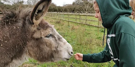 Farm Explorers - Summer Club at Applefield Smallholding