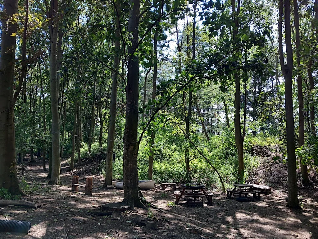 Wild Wood - Natural play at Irchester Country Park at Irchester Country Park