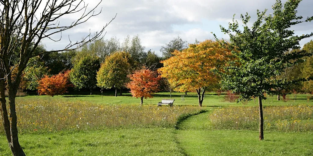 Autumn in the Heart of England Forest Arboretum - Guided Walk