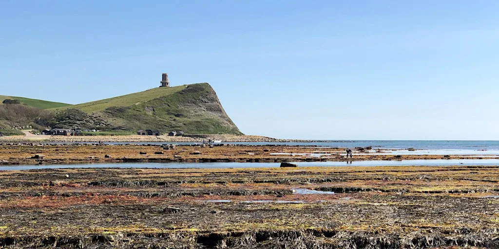 Rockpool Ramble at Kimmeridge