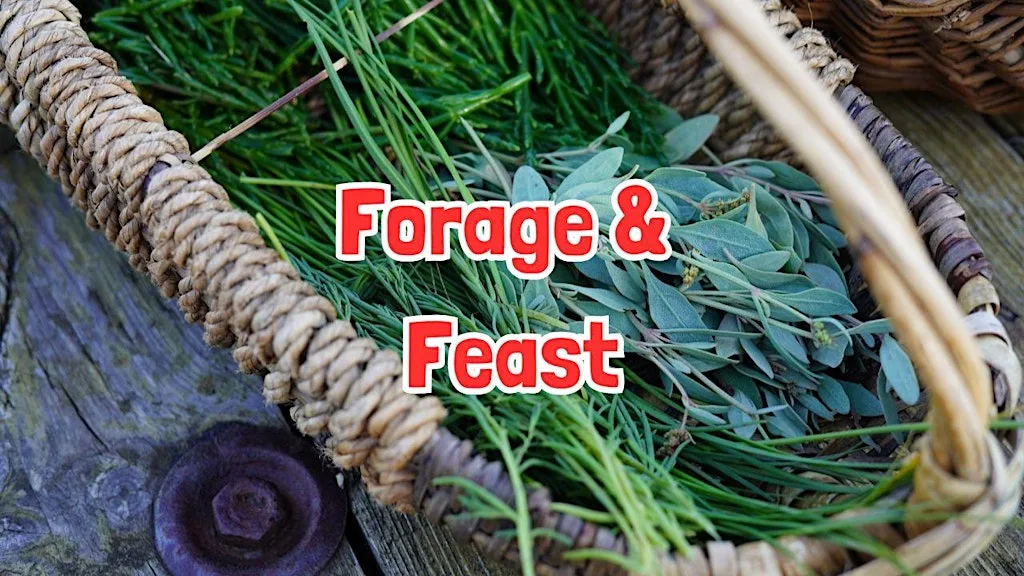 FORAGE & FEAST in Brighton (East Sussex) at Stanmer Tea Rooms