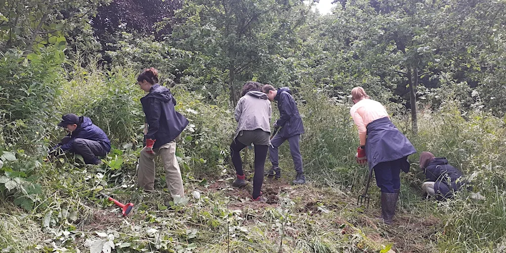 Youth Rangers at Robinswood Hill - PM SESSION at Robinswood Hill Country Park