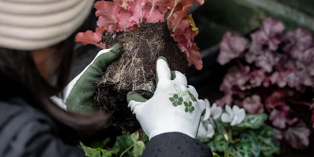 RHS Bridgewater Career taster event at RHS Garden Bridgewater