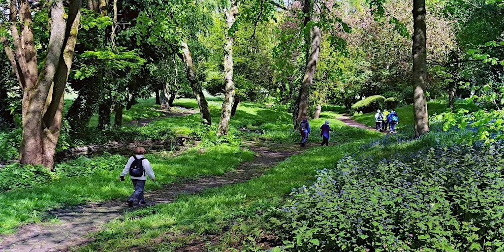 Canal & Wast Hill Saturday Short Walk on 17 October 2026 at Meet at Alvechurch Station